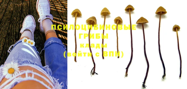 дмт Снежинск