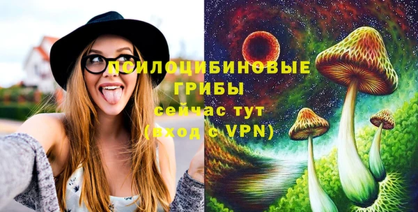 бошки Алзамай