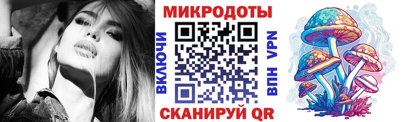 цена   Сим  Псилоцибиновые грибы Psilocybine cubensis 