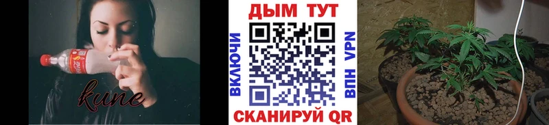 Бошки Шишки гибрид  Сим 